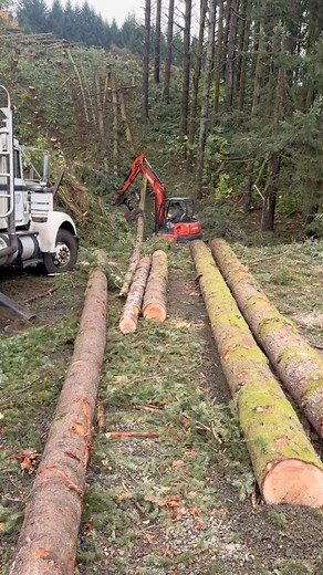 186K views · 1.5K reactions | Kubota 057 pulling through 料蝹 #kubota #KubotaCountry #kubotausa | Mike Pihl Logging | Facebook