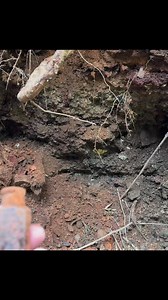 35K views · 1.1K reactions | Uncovering RARE Coca-Cola history while searching for treasure! #history #discovery #cocacola | Adventure Archaeology And Southern Diggers | Facebook