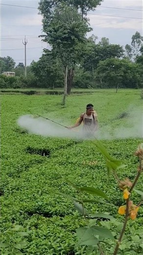 Balwaan BKS-35 25L 35CC 1.5HP High Pressure Agricultural Power Sprayer with 3 Head Nozzle