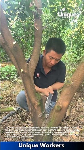 Tree Pruning Techniques: Gardener Uses Handsaw to Remove Large Branch