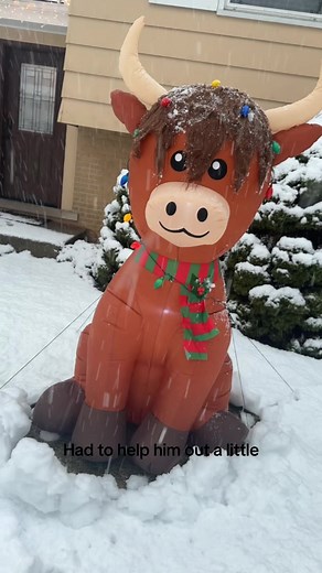 Highland Cow Struggles in the Snow | Heartwarming Rescue