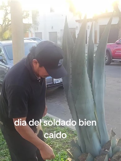 Remembering the Day of the Fallen Soldier