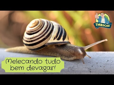 Melecando tudo bem devagar!