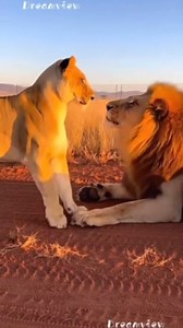 Kuya Amer Vlog on Reels