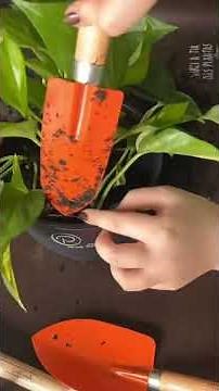 Vasos autoirrigáveis Plantie 🌱 Vem plantar comigo