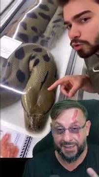 Giant anaconda sold in supermarkets? #biologohenrique #animals #smartanimals #biologist