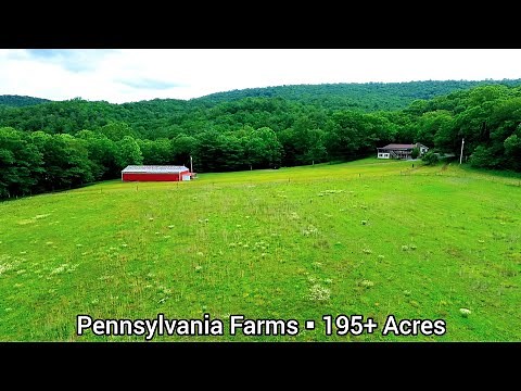 Pennsylvania Farms For Sale | 195+ Acres | Pennsylvania land For Sale | Stocked Stream Forest