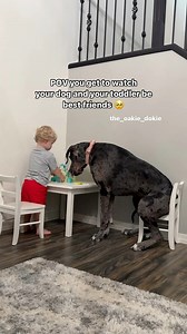 1.5M views · 53K reactions | The sweetest memory from 1 year ago 殺 I love having all of these special moments on camera ♥️ #dog #toddlerlife #dogsofinstagram #kidsanddogs #motherhood | the_oakie_dokie | Facebook