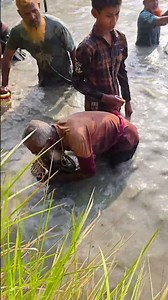 Wow! Amazing Polo Fishing Videos ! Best Big Fish Catching ! Primitive Technique fishing #fish #india