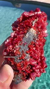 16 reactions | Coming soon to our Crystal Boutique: collector grade Vanadinite from the Atlas Mountains of Morocco! This crystal is a powerhouse for divinely inspired work and the success that comes thereafter. These “AAA” specimens will be live soon, here are the ones that we currently have up: starseedastrology.com/vanadinite | Starseed Astrology | Facebook