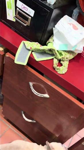 Walking Immediately Post-Acupuncture and Laser Therapy