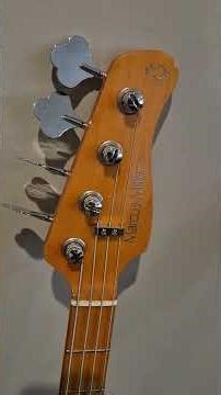 The Ultimate BASS GUITAR Collection You Didn't Know About in Victoria Minnesota