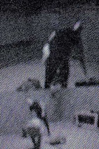 The Muppet (2025) - Movie