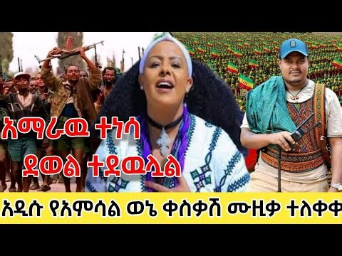 የአማራን ወጣት ጫፍ እስከ ጫፍ ያነቃነቀዉ የአምሳል ምትኬ ወኔ ቀስቃሽ ሙዚቃ ተለቀቀ "አማራዉ ተነሳ ደወል ተደዉሏል