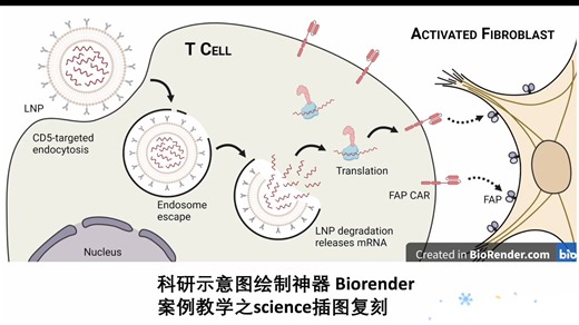 2512702008 Biorender绘制插图应用