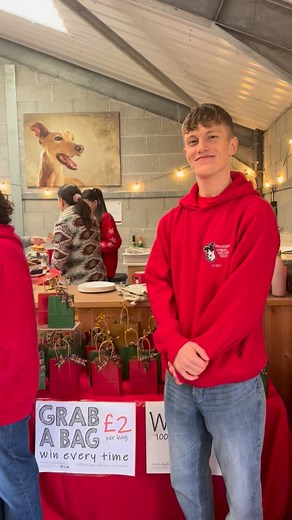 18K views · 237 reactions | Our Christmas Fair is in full flow. Open until 3pm  | Woodside Animal Welfare Trust | Facebook