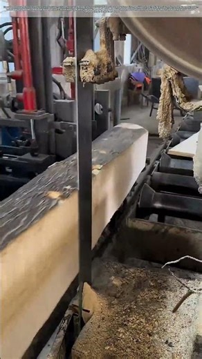 Cutting Through Wood: How Machines Shape Our Future #shorts