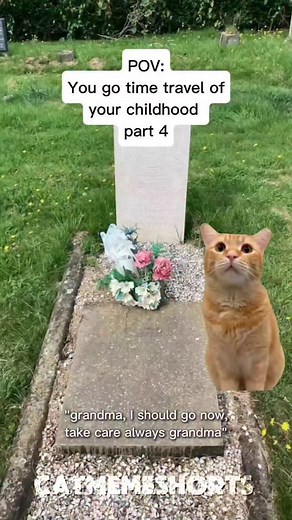 3.8K reactions · 139 shares | CAR MEMES  You go time travel of your childhood part 4 #relatable #catmemes #relatable #grandma #relationship #relatemuch #memes #whatssofunny #family #short #life | Cat Memes Shorts | Facebook