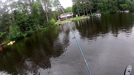 Landed muskie on the plopper! Small one (32 in) but fun! #musky #northwoods #fishing #fish #wisconsin #muskie #bigfish #bass #topwater #flw #lake