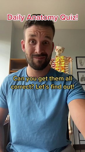 Anatomy Quiz: How Well Do You Know the Human Body?