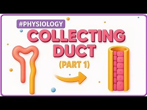 10. Collecting Ducts (Part- 1) | Renal Physiology for NEET PG, FMGE, USMLE, NEXT, INICET