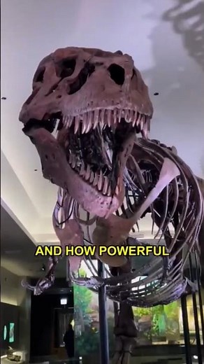 Why Sue the T-Rex terrified every creature on Earth #trex #fossil #prehistoric
