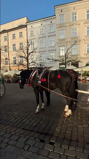 #Kraków#Polska#Rynek Główny#Jarmark Bożonarodzeniowy 2025#Krakow Christmas Market 2025#JRworld#2025