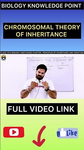 Chromosomal Theory of Inheritance Class 12 | #viral #shorts