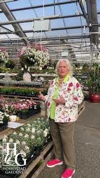 First Day of Spring Gardening Tips