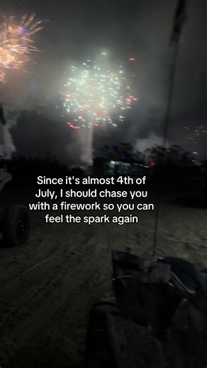 4th of July Firework Spark — A Playful Chase