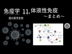 Immunology 11 Humoral Immunity - Summary