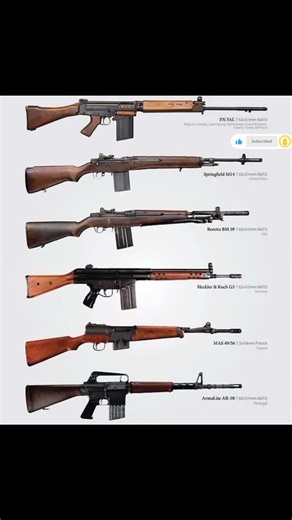 The Evolution of Cold War Battle Rifles: NATO Standard Small Arms#shorts