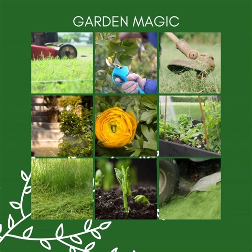 A little bit of garden magic in the making! ✨ Spring is our busiest season, and we love every minute of it. From small touch-ups to complete transformations, we're here to help. Only a few spots left for November bookings! If you want your garden looking its best for the festive season, now is the time to get in touch. | CJ Greenscapes