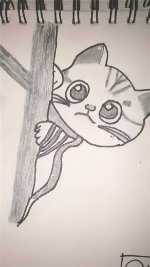 cat transformation ⚠️🗿#active Draws