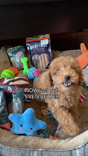 ‏Tired of pet store runs? All you need is on Deliveroo, order now!