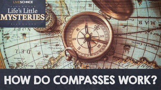 How do compasses work?