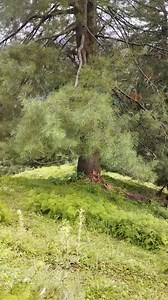 Amazing view #beautiful #view | Explore Mountain