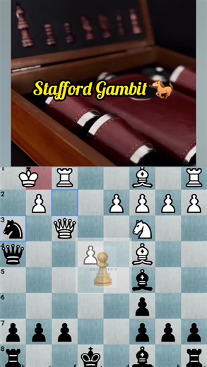 Stafford Gambit 🐎 #fblifestyle | Beginner's Chess