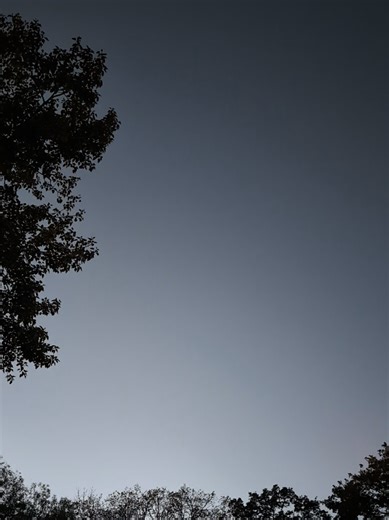 Life After Divorce: Moving On as a Single Mom