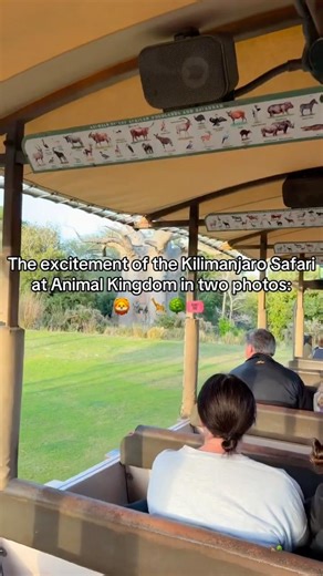 ANIMAL KINGDOM ON TOP 🔝 #animalkingdom #kilimanjarosafari