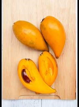 Canistel Egg Fruit🍋 Unique Tropical Fruit Health Benefits & Uses