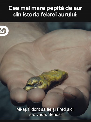 Goana după aur: Valoare de 15.000 - 20.000 de dolari!