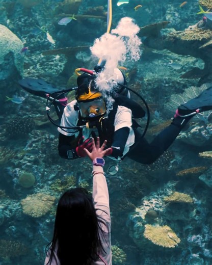 2.5K views · 26 reactions | Seattle Aquarium on Reels | Facebook