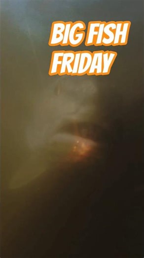 GIANT Redfish Caught Inside the River?! 👀🎣 | Big Fish Friday