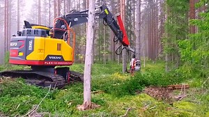 50+ Massive Chainsaws and Heavy Equipment Tearing Through Trees