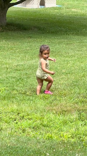 David Bourque on Reels