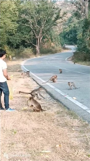 tujhko Na dekhun to Ji ghabrata Hai #viralvideo #viralreels #youtubeshorts #shortsvideo #ytshorts