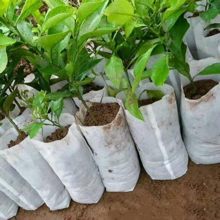 Neinkie 200Pcs Biodegradable Non-Woven Nursery Bags Plant Grow Bags Fabric Seedling Bags Home Garden Supply - Walmart.ca