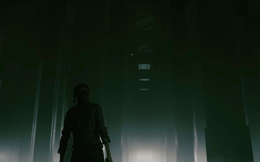 控制CONTROL 北极星 执掌大权（打法略苟）