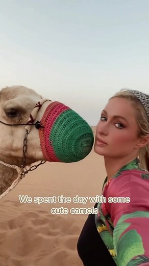 #Sliving in the desert sands of Dubai! 🐪🌵🏜 Tag who you want to go on a camel ride with! 🥰💕Thank you @hiltonofficial for the most epic Honeymoon!